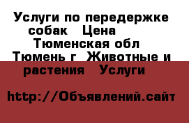 Услуги по передержке собак › Цена ­ 600 - Тюменская обл., Тюмень г. Животные и растения » Услуги   